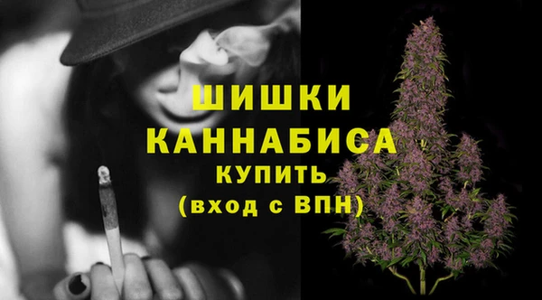 COCAINE Каменка