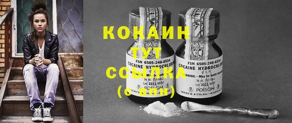 COCAINE Каменка